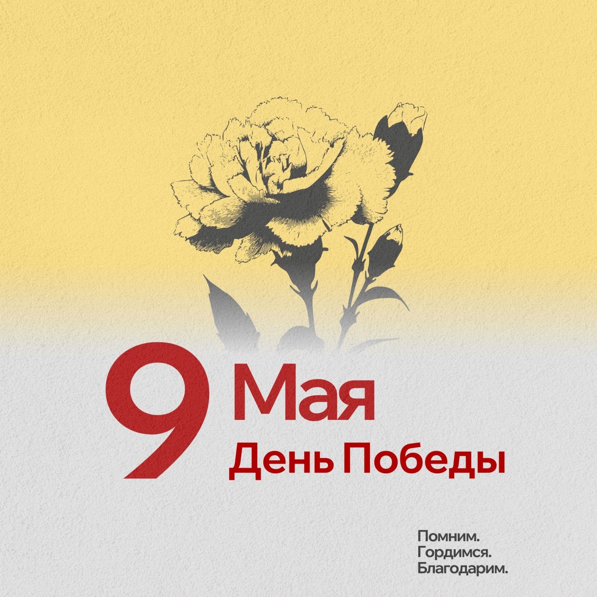 Весенние улыбки наших пушистых подопечных - Фото 1