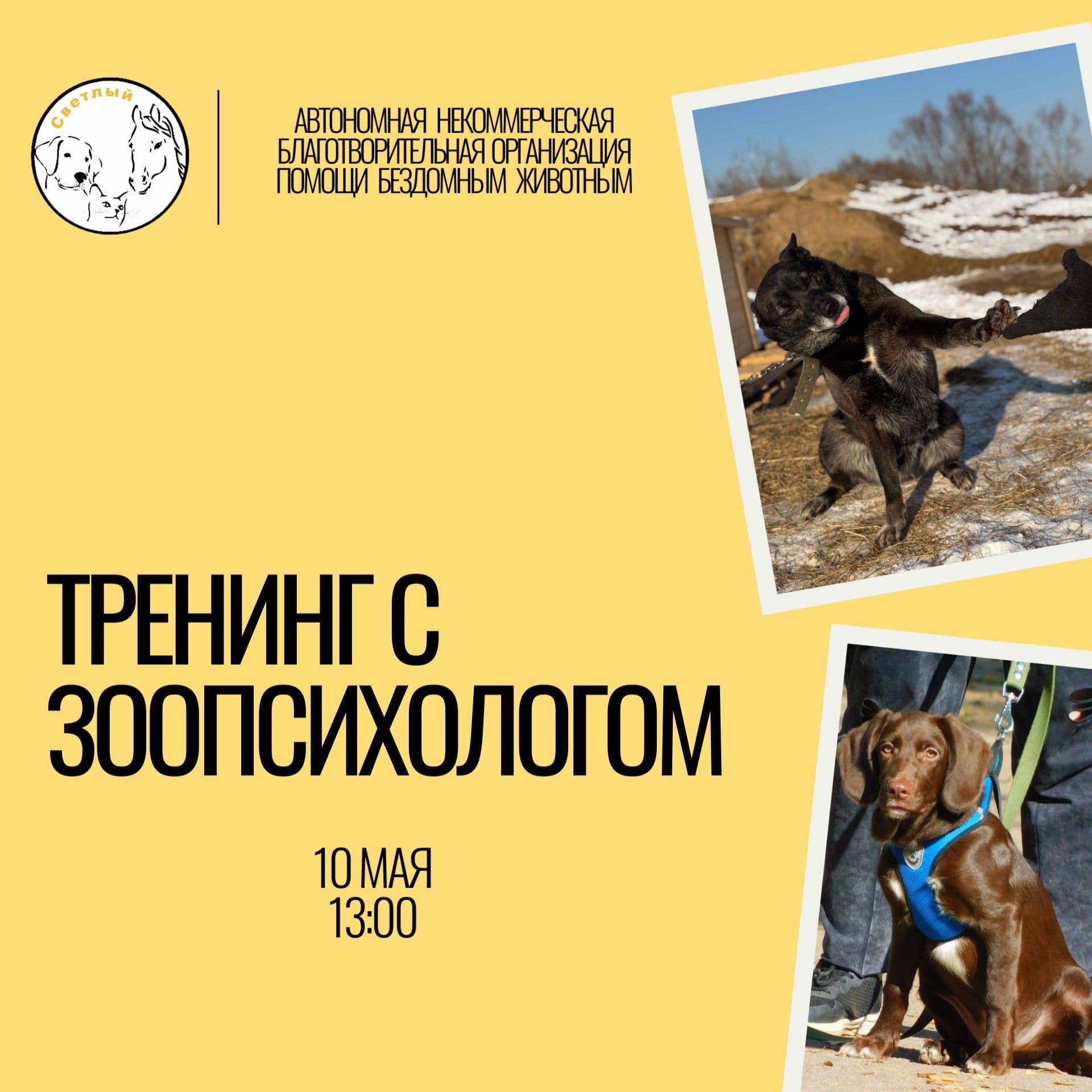 Запуск проекта «Зоопросвет»: серия практических тренингов с зоопсихологом - Фото 1