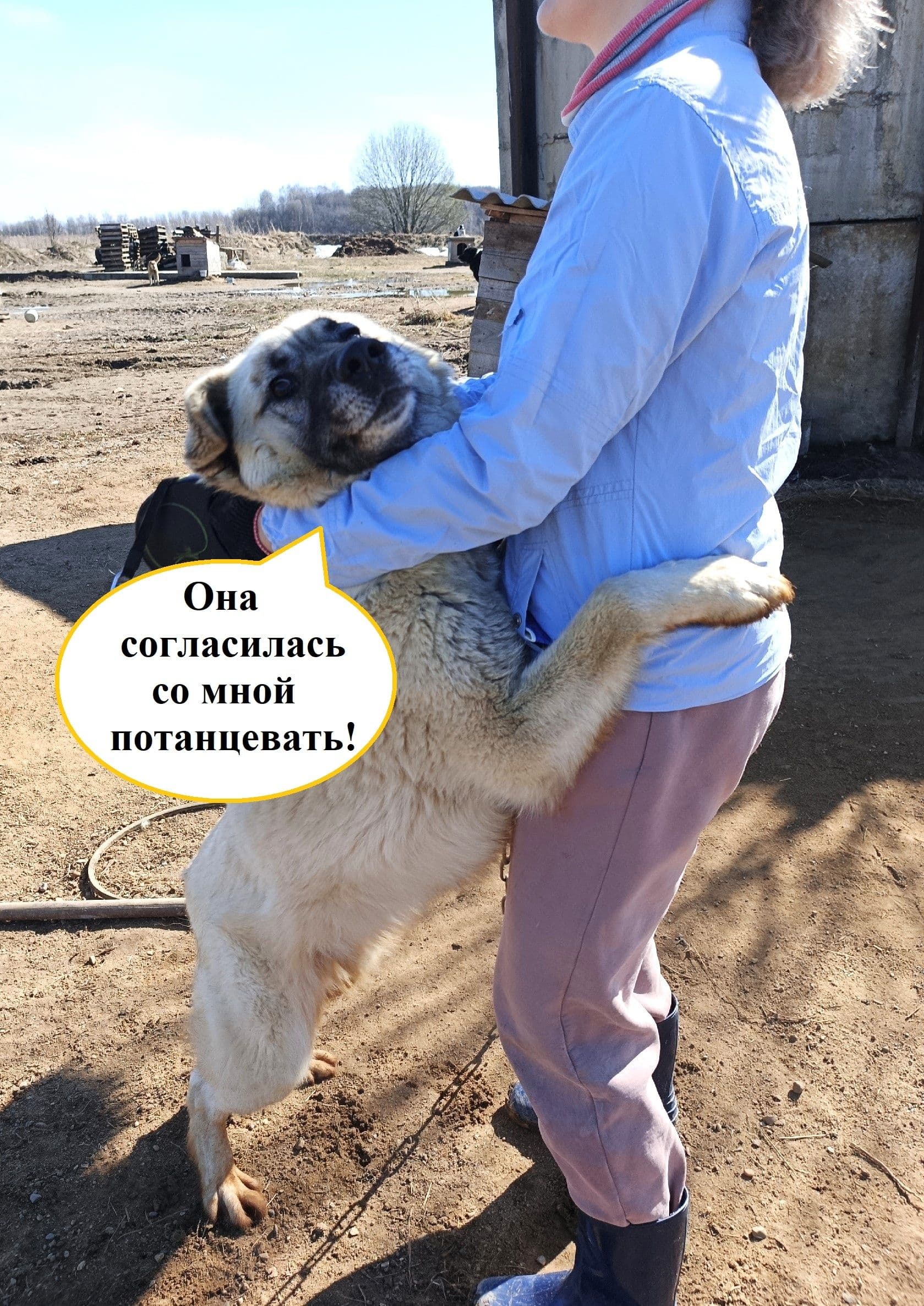Неподдельные эмоции Серкана: приглашаем на прогулки в выходные! - Фото 1