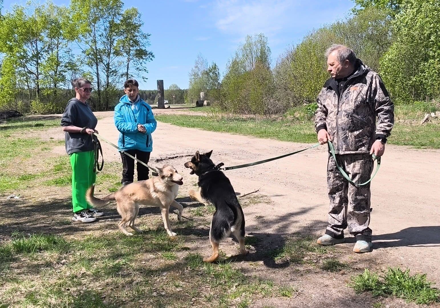 Как правильно общаться с собаками: как прошли первые занятия по зоопсихологии - Фото 3
