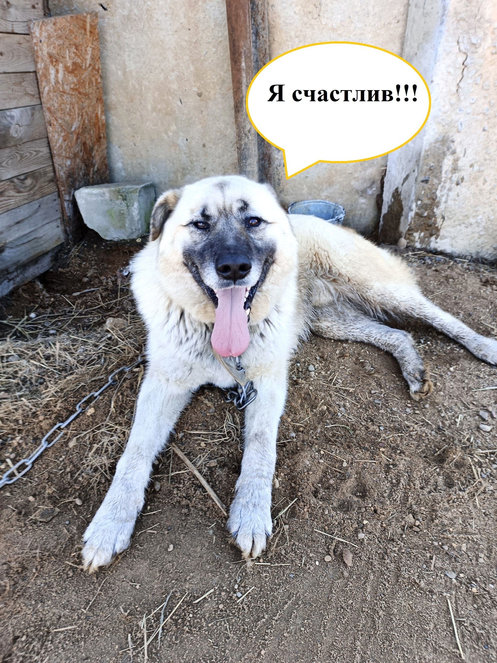 Неподдельные эмоции Серкана: приглашаем на прогулки в выходные! - Фото 3
