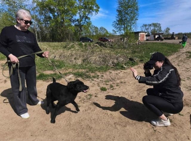 Весенняя фотосессия в «Светлом»: делимся кадрами профессиональной съемки собак - Фото 5